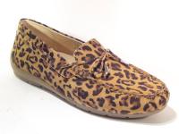 Ara_19212_26_Instappers_Leopard_G