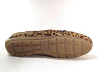 Ara_19212_26_Instappers_Leopard_G_1