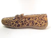 Ara_19212_26_Instappers_Leopard_G_3